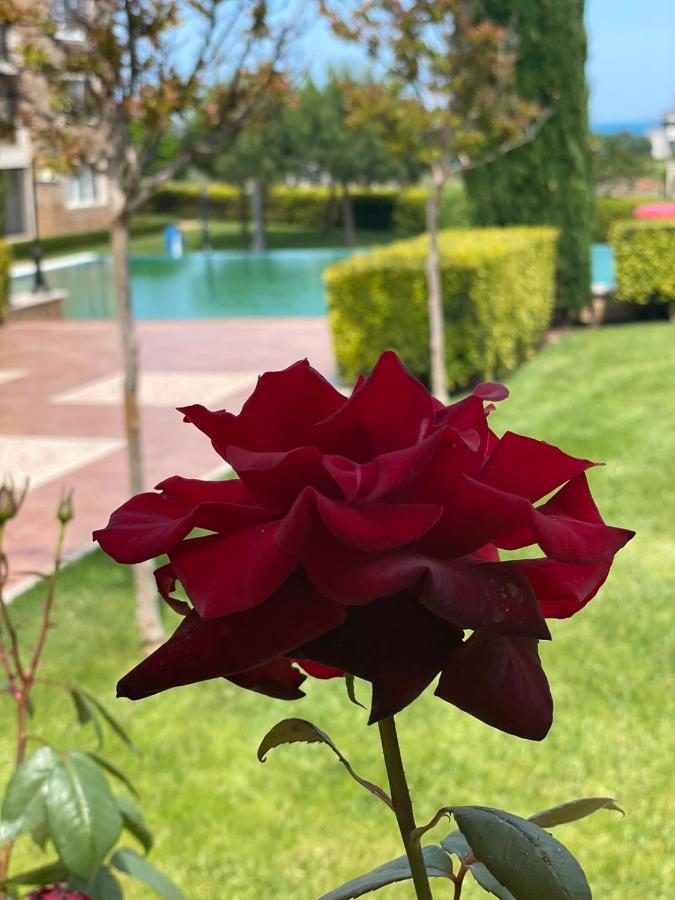 Provence Deluxe Apartment In Atia Resort تشيرنوموريتس المظهر الخارجي الصورة