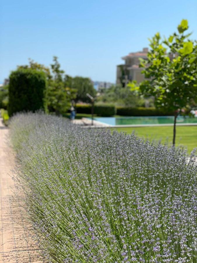 Provence Deluxe Apartment In Atia Resort تشيرنوموريتس المظهر الخارجي الصورة
